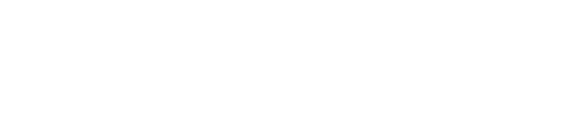 Wyld Networks